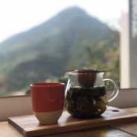 【台灣九份 野事草店】品茶感受山靈之氣 ｜觀賞落日｜洗滌心靈之旅