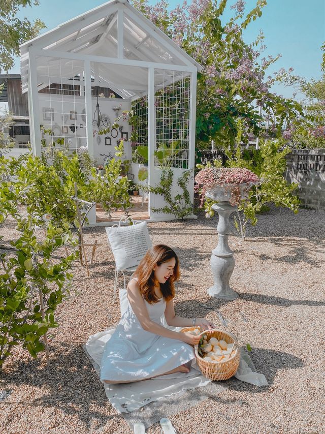 Le Céreste cafe