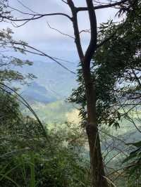 苗栗向天湖部落｜向天湖山+光高天山爬山之旅