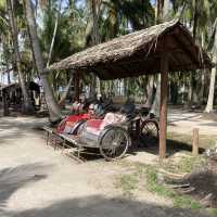 Countryside Lifestyle at Kg Agong