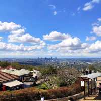 Why is Mt Coot-tha special?? and must visit