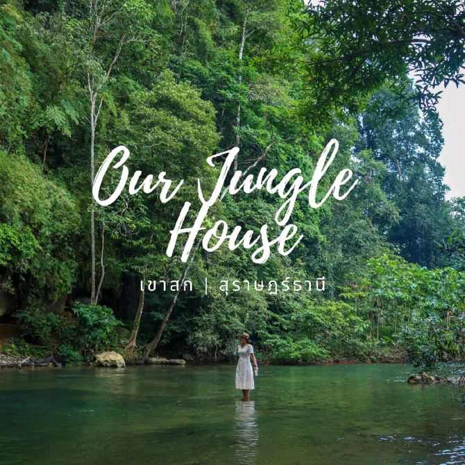 Our Jungle House 