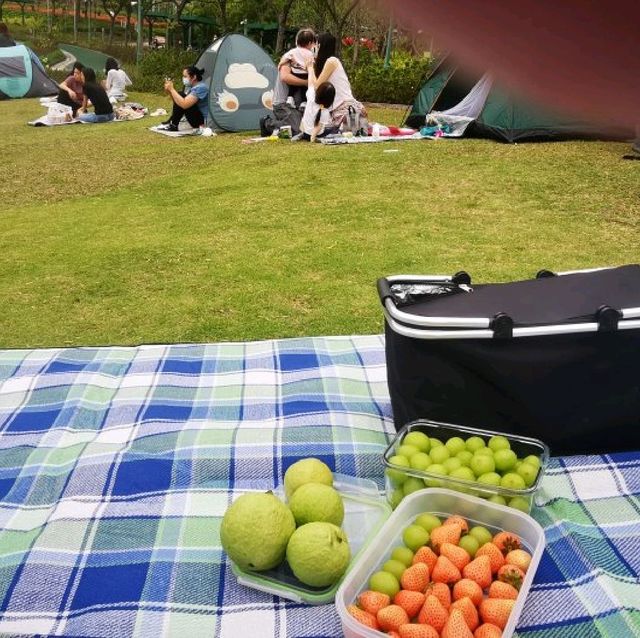 市區大草原佐敦谷公園
