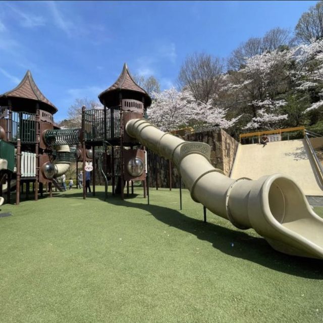河内長野公園で遊ぼう！
