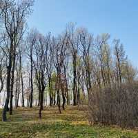 산책하러 가기좋은 공원, 자연을 느낄수 있는 김포핫플🍃