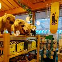 東エントランス　京都市動物園