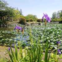 [佐賀]市民のいこいの場❤️「神野公園」