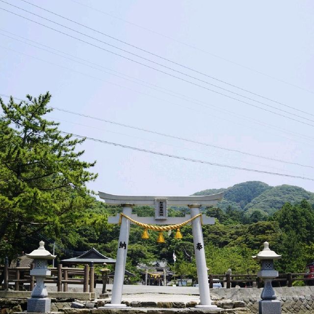 대마도여행 와타즈미신사