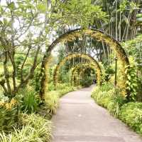 Singapore Botanic Garden - SIN