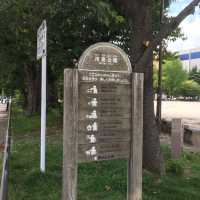 中洲の喧騒にあるオアシス【冷泉公園】