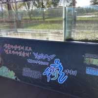 경포호수