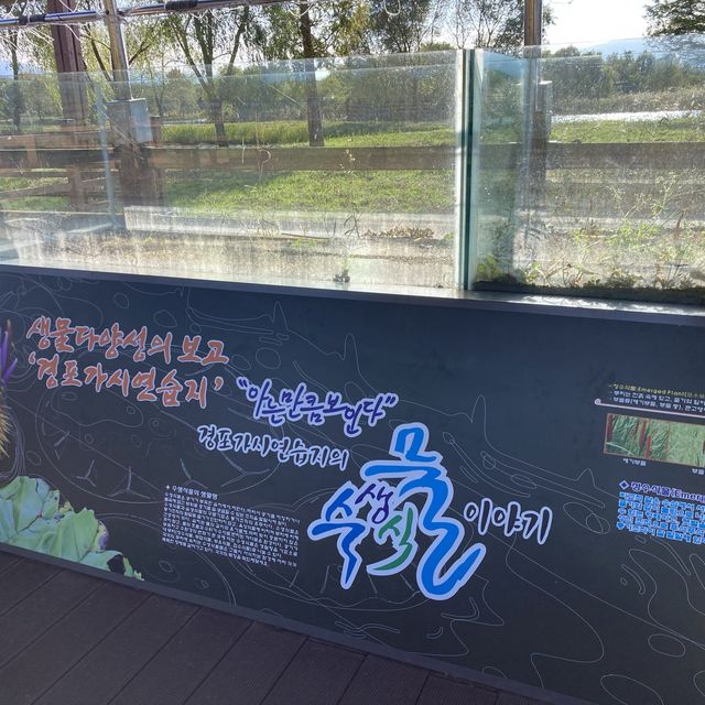 경포호수