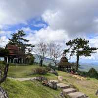 ลมหนาวที่ห้วยน้ำดัง