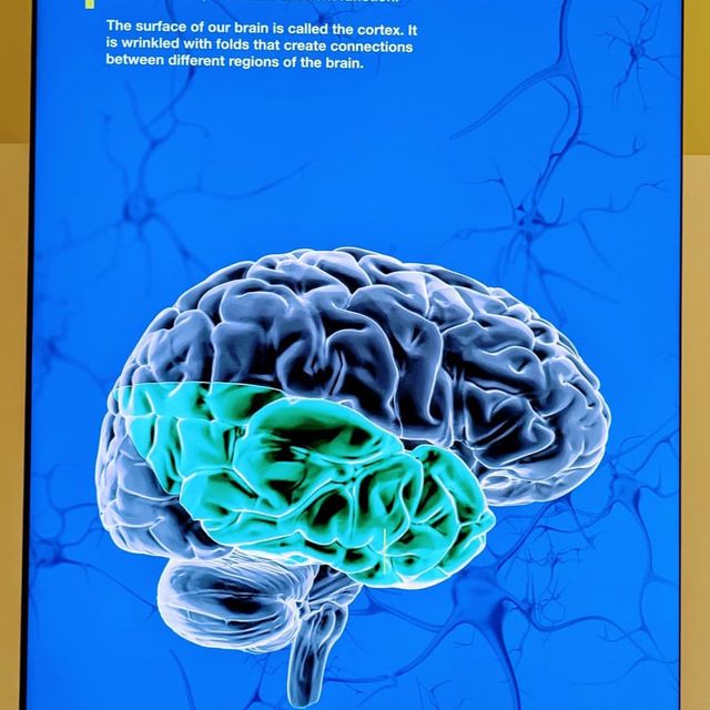 Explore Science with Fun