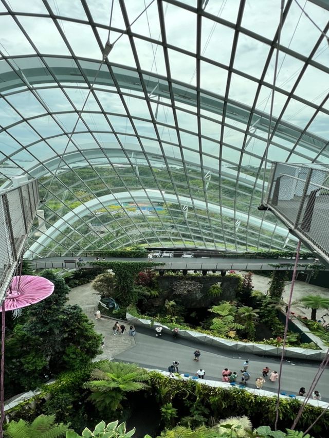 Journey to AVATAR’s Pandora at Cloud Forest