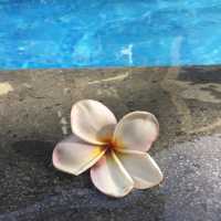 หาด Legian