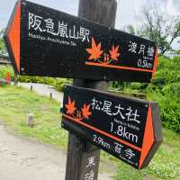 【京都嵐山】言わずと知れた観光地