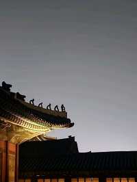 달밤의 고궁나들이🌃 경복궁 야간개장!