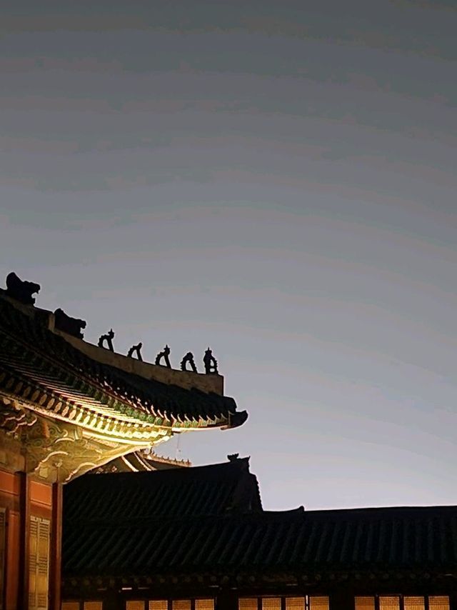 달밤의 고궁나들이🌃 경복궁 야간개장!