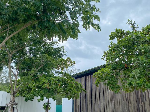 🌳🐾Baanpat - บ้านพัฒน์