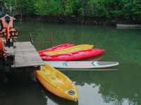 Escape Life Koh Kood ที่พักสุดชิลฟีลป่าโกงกาง