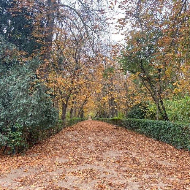 Huge park in the heart of Madrid