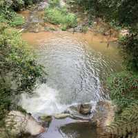 キャメロンハイランドの中心部から気軽に行けるハイキングコース　Taman Eko Rimba Parit Falls H