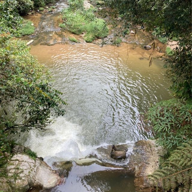 キャメロンハイランドの中心部から気軽に行けるハイキングコース　Taman Eko Rimba Parit Falls H
