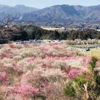 三重県　いなべ市農業公園