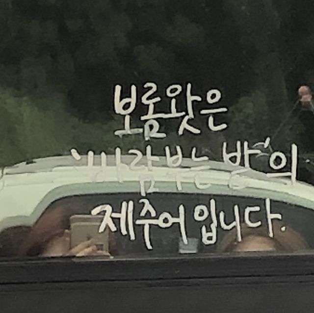 푸릇푸릇한 보롬왓 🌿