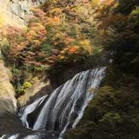 紅葉の袋田の滝