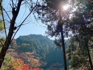 高橋家