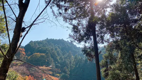 高橋家