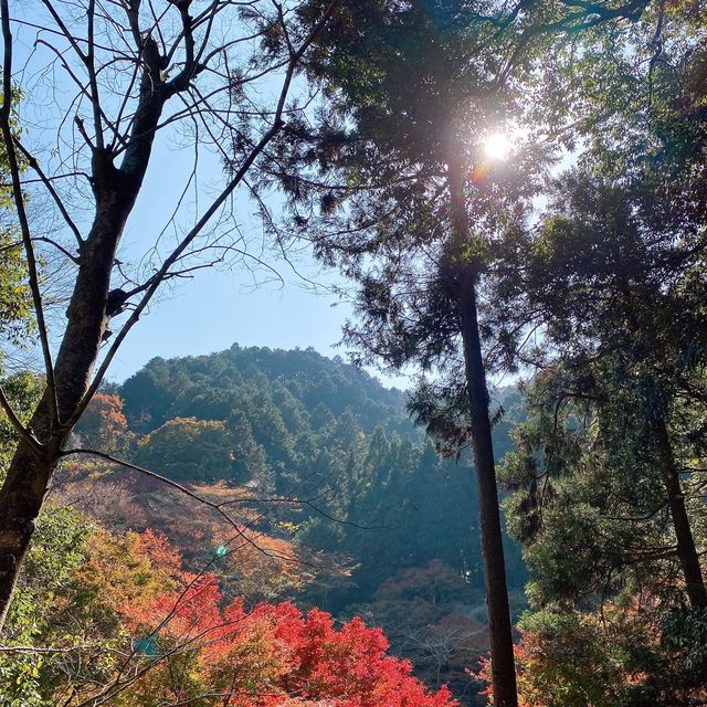 高尾山