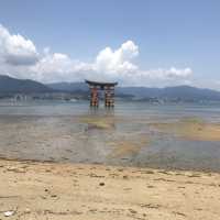 宮島神社⛩️唯一海上鳥居
