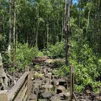 A Day in Kukup Island National Park