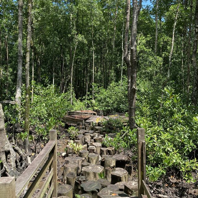 A Day in Kukup Island National Park