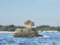 【宮城】日本三景「松島」を遊覧船でめぐる⛴