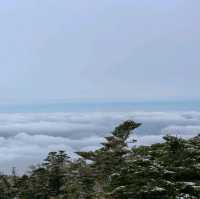 겨울 등산코스 추천 '한라산'