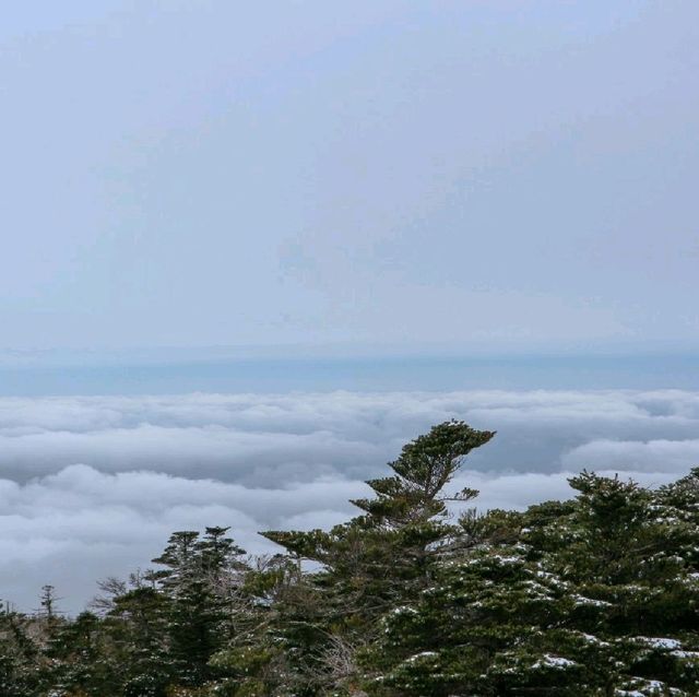 겨울 등산코스 추천 '한라산'