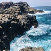 Oneday trip at Kiama Blowhole🇦🇺