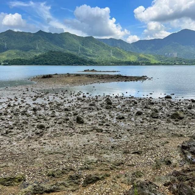 鹿頸行山之旅😳遠望對岸清新之選 鹿頸行山之旅😳遠望對岸清新之選