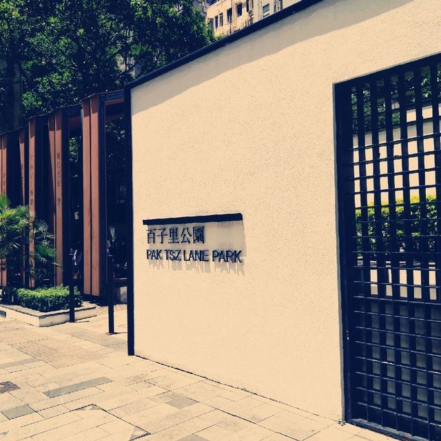 有緣千里來相會城中清新地百子里公園🌁🌳🌳