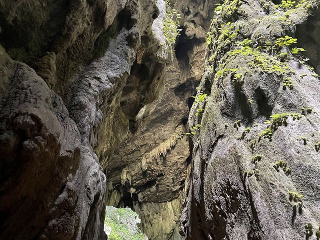 Fairy 🧚‍♀️ Cave 