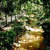 The Windsor Nature Park In Singapore