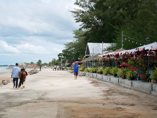 หาดปึกเตียน เงียบสงบ ใกล้กรุงเทพ  