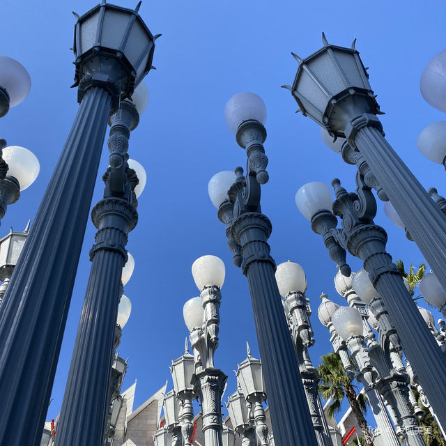 LA 최고의 미술관 ‘LACMA’🏛️