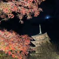 【京都】東寺のライトアップ♡