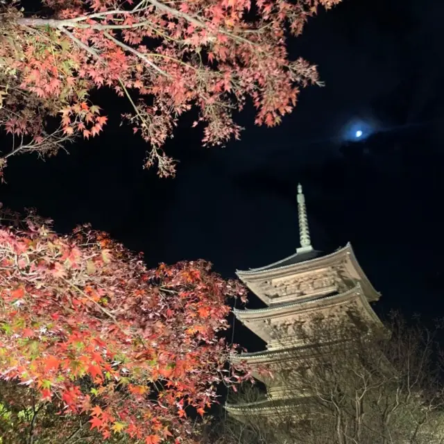 【京都】東寺のライトアップ♡