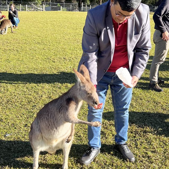 Australia 